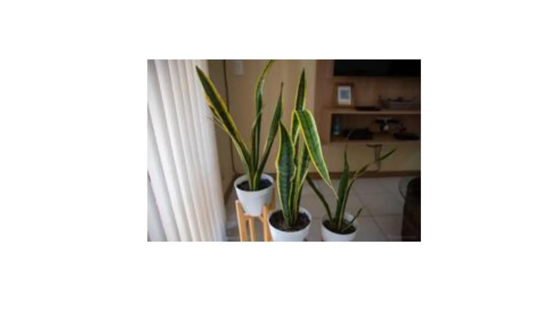 公寓 Departamento Excelente Ubicacion En Ciudad Con Cochera 门多萨